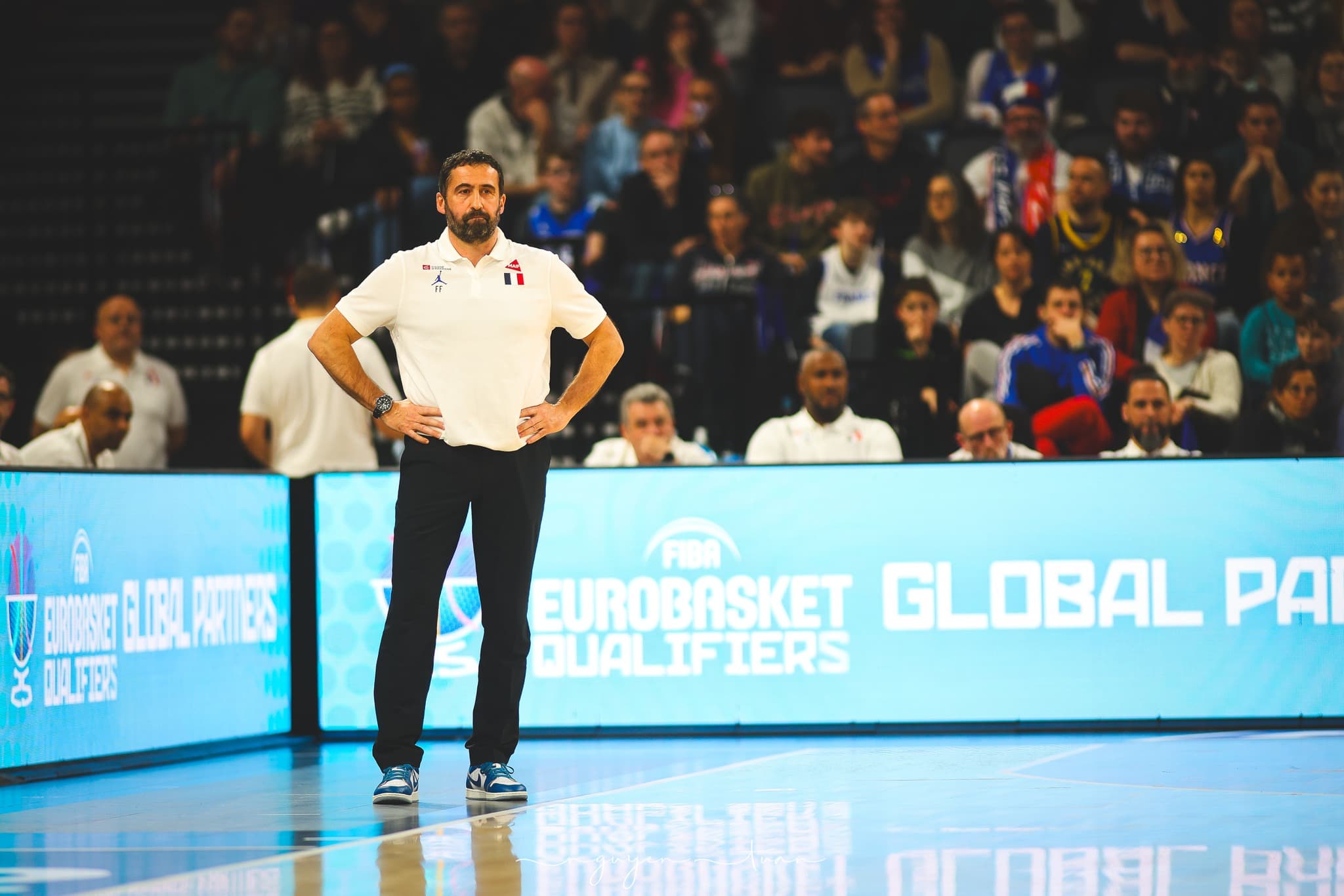 « Absences do not weigh down ambitions » for Team France at EuroBasket